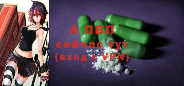 гидра Бородино