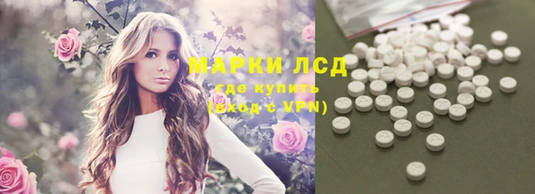 гидра Бородино