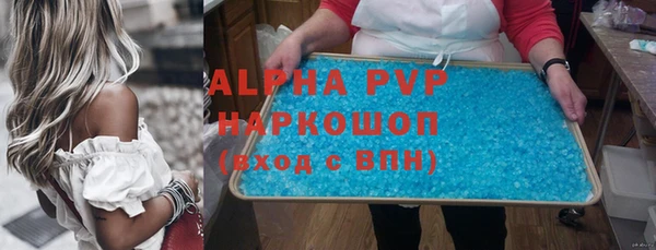 гидра Бородино