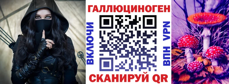Псилоцибиновые грибы Psilocybe  mega сайт  Кинешма 